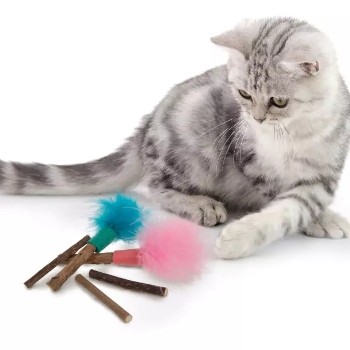 Funny Cat Stick, Bite Resistant Attractive Funny Cat Toys For Cats Grass  Carp + Fishing Rod