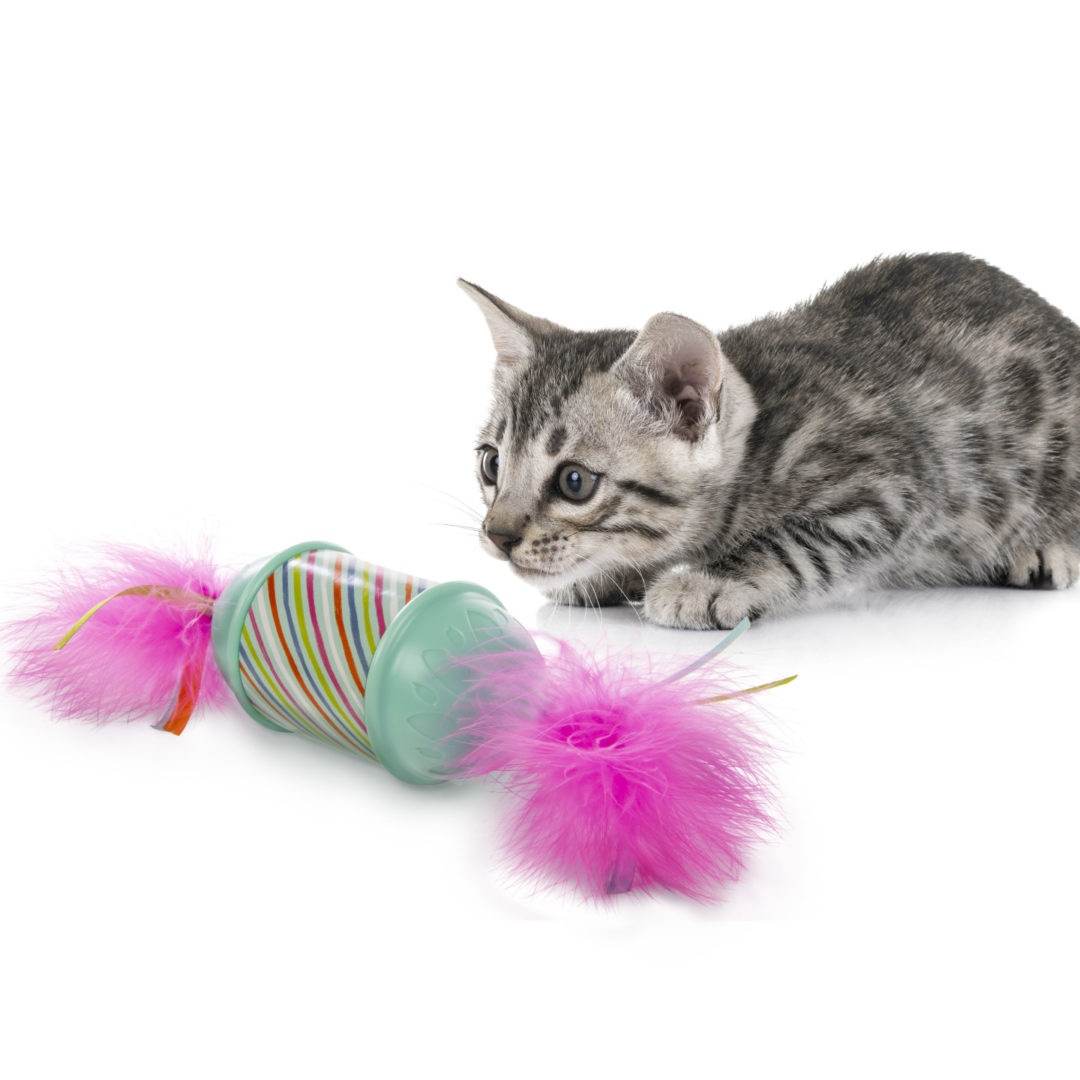 Roll N Return™ Candy Mysterious Motion Cat Toy - SmartyKat