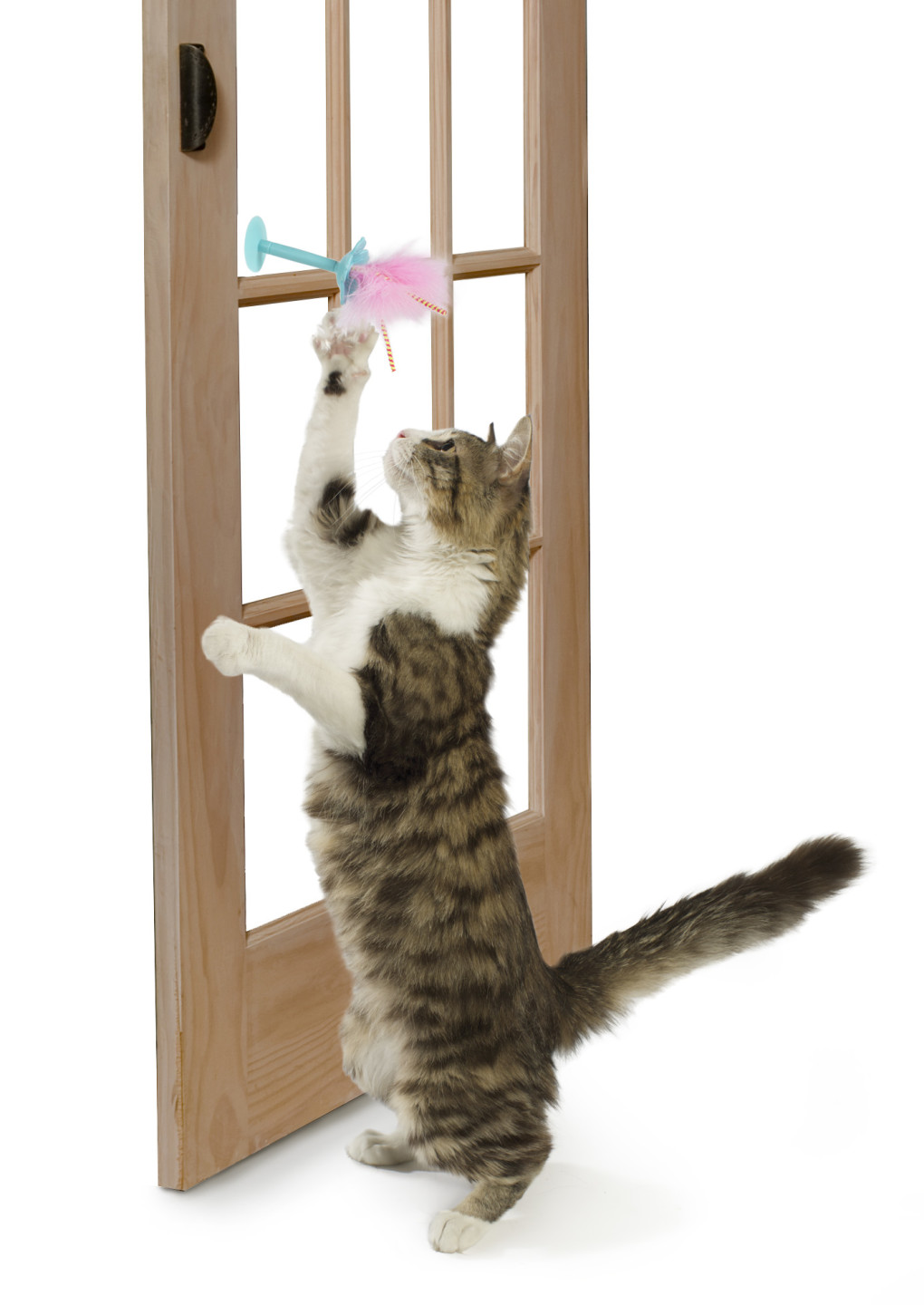 Window Wobbler™ 2 in 1 Suction Cup Window & Floor Cat Toy - SmartyKat