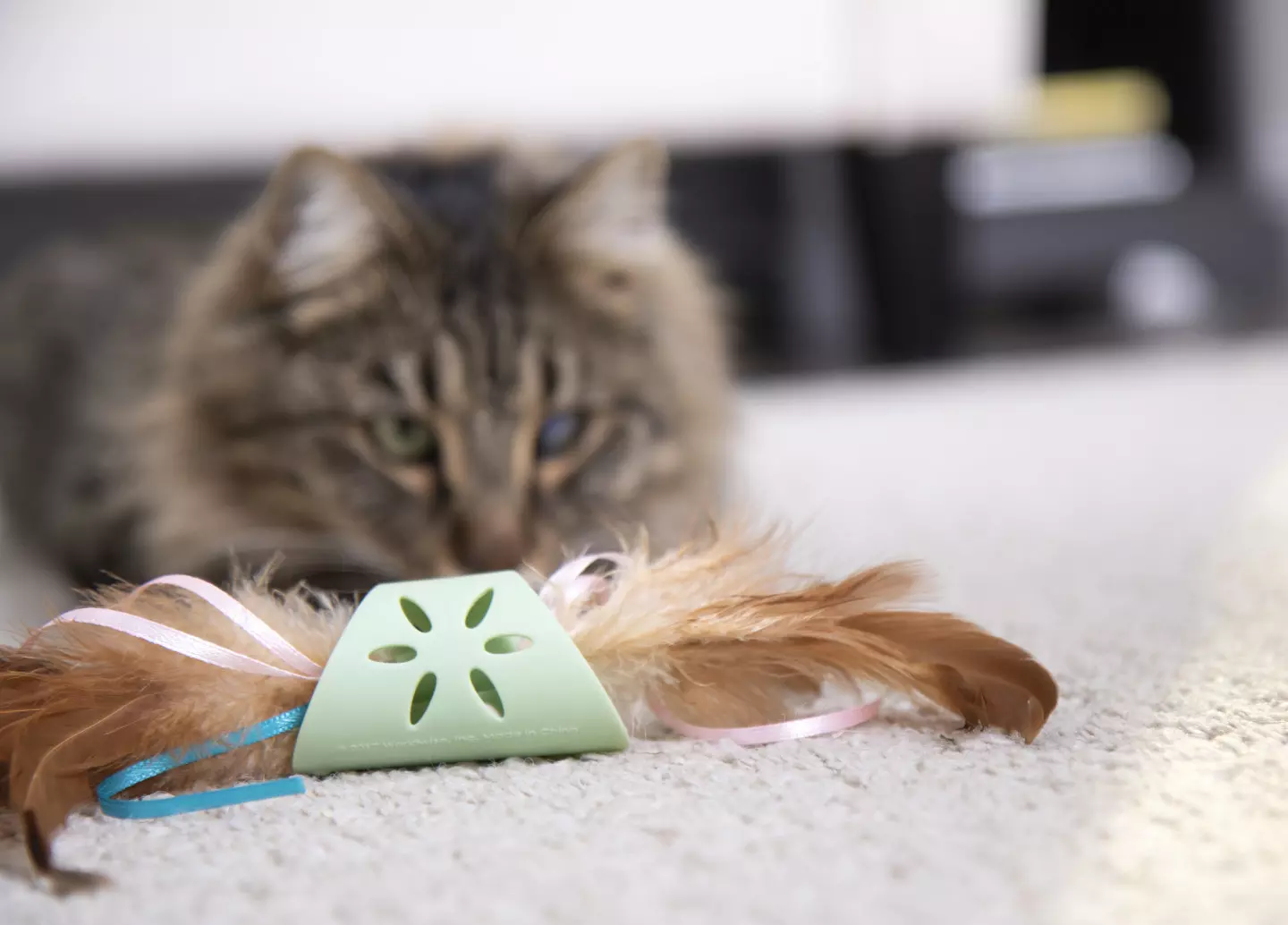 Cat roller outlet toy