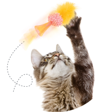 Smart Cat Toys Transparent Cat Treat Dispenser Toys Interactive